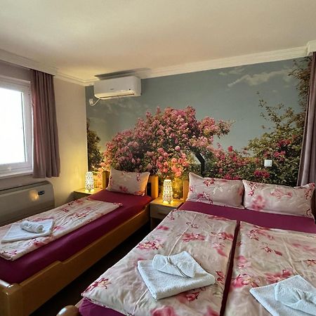 Apartmani "Marija" Golubac Extérieur photo