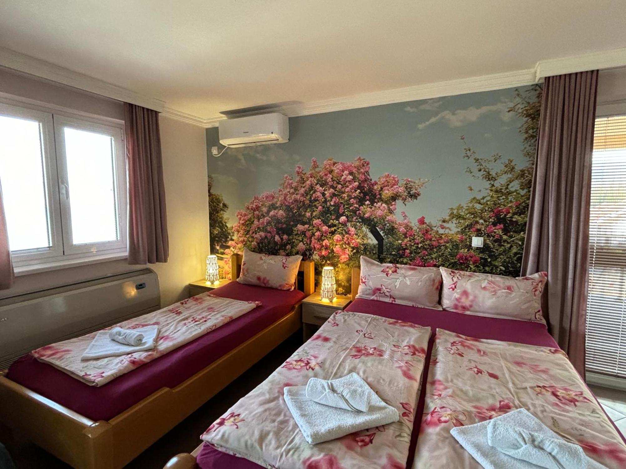 Apartmani "Marija" Golubac Extérieur photo