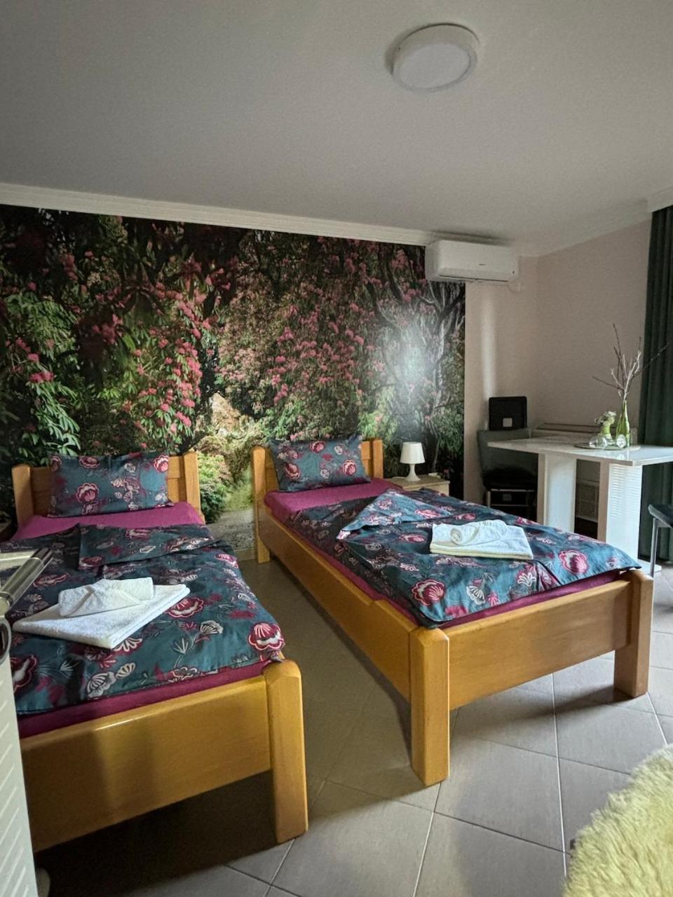 Apartmani "Marija" Golubac Extérieur photo